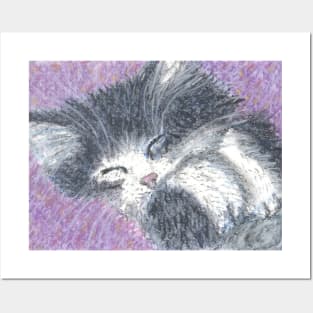 fluffy kitten Posters and Art